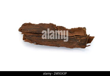 Écorce d'arbre isolée sur fond blanc. morceau d'écorce à l'intérieur Banque D'Images