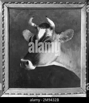 Chef d'un Cow William Hart (américain, né en Écosse, 1823-1894). Tête d'une vache, deuxième moitié du 19th siècle. Huile sur toile, 13 1/8 x 12 1/8 in. (33,4 x 30,8 cm). Art américain deuxième moitié 19th siècle Banque D'Images