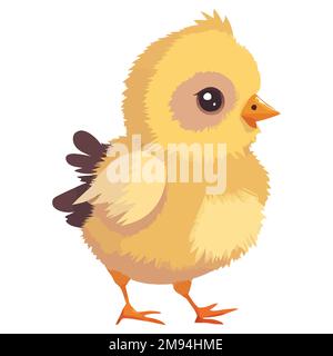 un petit poussin jaune qui vient d'éclos d'un oeuf. illustration vectorielle plate. Illustration de Vecteur