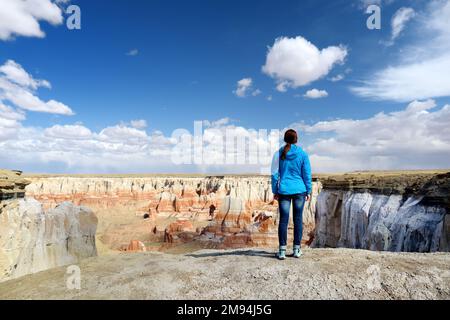 Jeune randonneur féminin admirant des vues magnifiques sur les formations de grès rayées de Coal Mine Canyon, Arizona, États-Unis. Explorer le Sud-Ouest américain. Banque D'Images