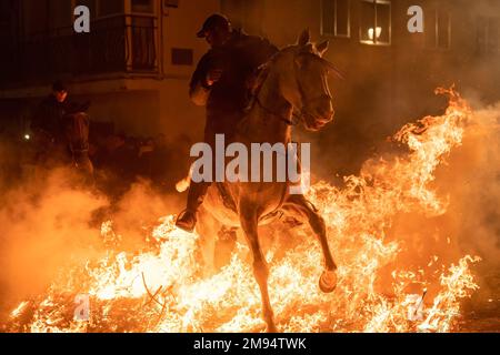 San Bartolome de Pinares, Espagne. 16th janvier 2023. Un cavalier passe à travers un feu de joie fabriqué avec des branches de pins dans le village de San Bartolome de Pinares pendant le festival religieux traditionnel de 'Las Luminarias' en l'honneur de San Antonio Abad (Saint Anthony), patron des animaux célébrés chaque soir de 16 janvier. Les cavaliers prennent part à une procession avec leurs chevaux et ânes, en traversant les feux de joie multiples allumés dans les rues de la ville. (Photo de Guillermo Gutierrez/SOPA Images/Sipa USA) crédit: SIPA USA/Alay Live News Banque D'Images