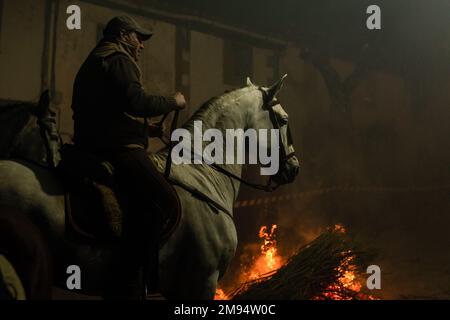 San Bartolome de Pinares, Espagne. 16th janvier 2023. Un cavalier prépare son cheval avant le festival religieux traditionnel de 'Las Luminarias' en l'honneur de San Antonio Abad (Saint Antoine), Saint patron des animaux célébrés chaque soir de 16 janvier. Les cavaliers prennent part à une procession avec leurs chevaux et ânes, en traversant les feux de joie multiples illuminés dans les rues de la ville. (Photo de Guillermo Gutierrez/SOPA Images/Sipa USA) crédit: SIPA USA/Alay Live News Banque D'Images