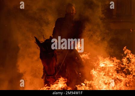 San Bartolome de Pinares, Espagne. 16th janvier 2023. Un cavalier passe à travers un feu de joie fabriqué avec des branches de pins dans le village de San Bartolome de Pinares pendant le festival religieux traditionnel de 'Las Luminarias' en l'honneur de San Antonio Abad (Saint Anthony), patron des animaux célébrés chaque soir de 16 janvier. Les cavaliers prennent part à une procession avec leurs chevaux et ânes, en traversant les feux de joie multiples allumés dans les rues de la ville. (Photo de Guillermo Gutierrez/SOPA Images/Sipa USA) crédit: SIPA USA/Alay Live News Banque D'Images