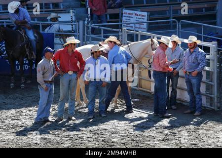 Compétition de rodéo, rodéo-riders, Saint, Tite, province de Québec, Canada Banque D'Images