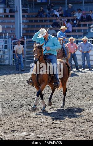 Compétition de rodéo, rodéo-riders, Saint, Tite, province de Québec, Canada Banque D'Images