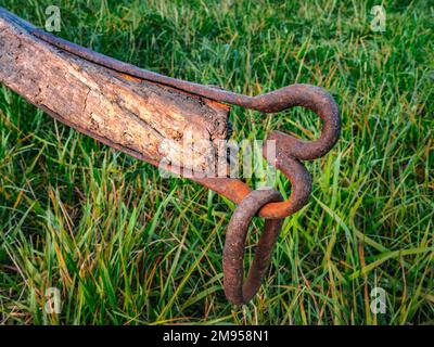 Un ancien ard dans un champ de verdure Banque D'Images