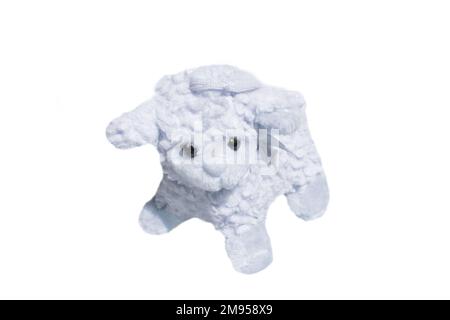 Jouet de mouton blanc isolé sur fond blanc. Jouet doux de mouton. Agneau de Saint-Valentin en peluche. Banque D'Images