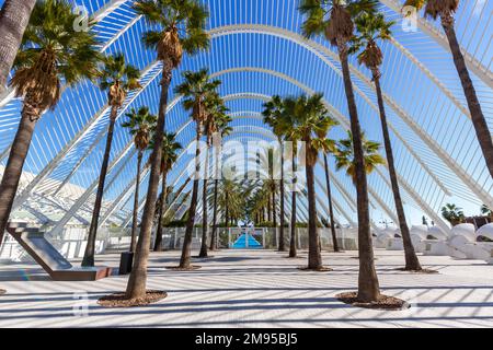 Valence, Espagne - 17 février 2022: Ciutat des Arts i les Ciencies avec l'Umbracle bâtiment architecture moderne par Santiago Calatrava à Valence, Banque D'Images