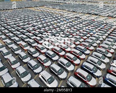 YANTAI, CHINE - le 17 JANVIER 2023 - Un grand nombre de camions destinés à l'exportation sont assemblés pour être expédiés au port de Yantai, dans la province de Shandong, en Chine orientale Banque D'Images