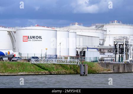 Belgique, Bruxelles, Neder Over Hembeek : réservoirs, dépôt de carburant de la PJSC Lukoil Oil Company, société multinationale russe de l'énergie Banque D'Images