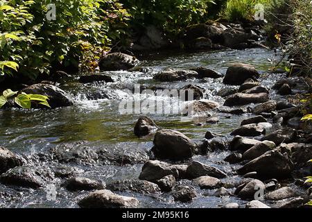 Petite eau de ruisseau qui coule sur les rochers. Banque D'Images