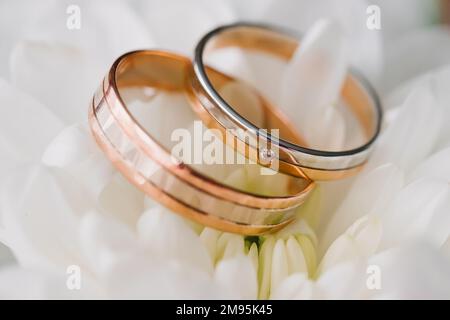 deux anneaux de mariage dorés couchés sur une fleur blanche Banque D'Images