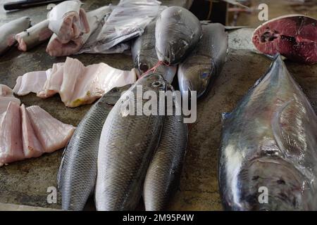 Sélection de poissons de Jack et de barracuda à l'intérieur du marché de la ville tôt le matin Banque D'Images