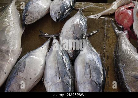Sélection de poissons à l'intérieur du marché de la ville tôt le matin Banque D'Images