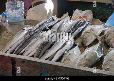 Sélection de poissons à l'intérieur du marché de la ville tôt le matin Banque D'Images