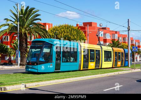 Ténérife, Espagne - 22 septembre 2022: Moderne Alstom Citadis 302 tramway léger sur la ligne L1 au Museo de la Ciencia, arrêt des transports en commun sur Ténérife, S Banque D'Images