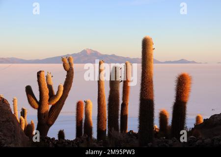 Point de vue sur l'île Incahuasi sur les appartements salins de Salar de Uyuni Banque D'Images