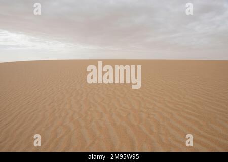 Paysage vue panoramique du désert occidental désertique en Égypte avec des formations de motifs dans les dunes de sable et le ciel couvert Banque D'Images