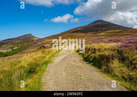 Le chemin vers YR eIFL, au-dessus de Nant Gwrtheyrn, sur la péninsule de Llyn à Gwynedd, au nord du pays de Galles Banque D'Images