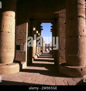 Le mausolée 'RAMESSEUM' de Pharoah RAMESES II : vue à travers la rangée des piliers de Papyrus vers l'entrée est du TEMPLE AMUN RE, Thèbes (Louxor), Egypte Banque D'Images