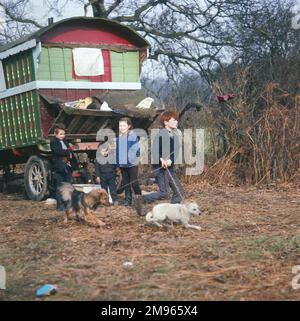 Quatre enfants tziganes et leurs chiens devant la caravane familiale aux couleurs vives dans un campement de Surrey Banque D'Images