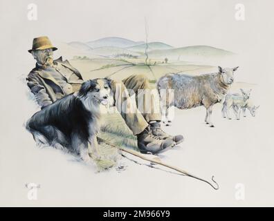 Un berger âgé repose sur un petit hilack avec son chien collie alors que ses moutons sont grisés. Peinture par Malcolm Greensmith Banque D'Images