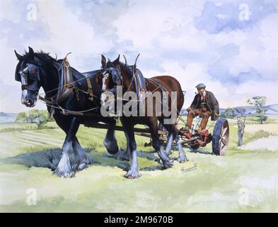 Une équipe de chevaux en action dans les champs de labour. Peinture par Malcolm Greensmith Banque D'Images