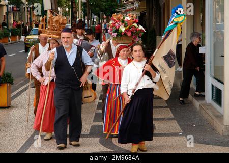 Un groupe folklorique du village de Camacha, en marchant dans les rues de Funchal, la capitale de Madère. Banque D'Images