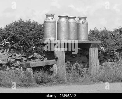 Quatre curnes à lait assises sur une plate-forme en bois, sur le côté d'une route de campagne. Banque D'Images