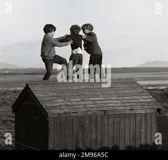 Trois garçons jouant sur un hangar en bois dans une zone rurale. Ils semblent prendre des virages pour sauter du toit. Banque D'Images