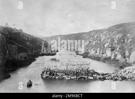 Vue sur le port de Porthclais (ou Porth Clais), un petit port d'entrée abrité près de St David, Pembrokeshire, au sud du pays de Galles, avec des voiliers et un bateau à rames. Banque D'Images