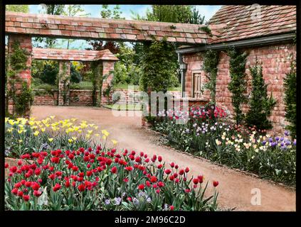 Vue sur le jardin de Mounton House à Chepstow, Gvent, pays de Galles, avec des tulipes de différentes couleurs de chaque côté d'une allée. Banque D'Images