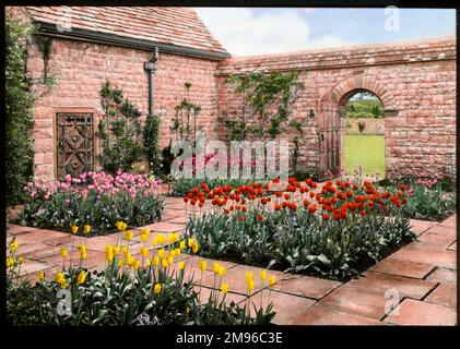 Vue sur le jardin de Mounton House à Chepstow, Gwent, pays de Galles, avec des tulipes de différentes couleurs dans des parterres de fleurs séparées. Banque D'Images