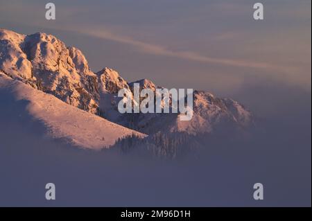 Brume hivernale dans les montagnes de Ciucas, Roumanie Banque D'Images