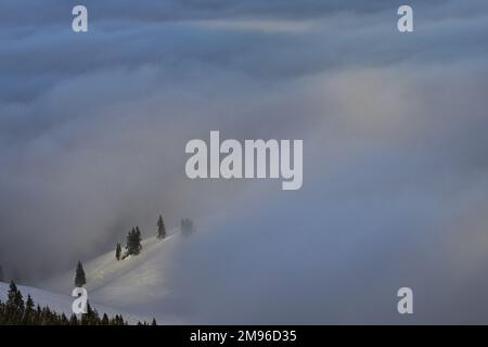 Brume hivernale dans les montagnes de Ciucas, Roumanie Banque D'Images