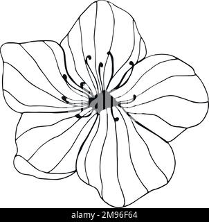 Fleur dessinée à la main sur fond blanc. Dessin floral à contour d'une ligne. Contour de l'élément botanique. Illustration vectorielle Illustration de Vecteur