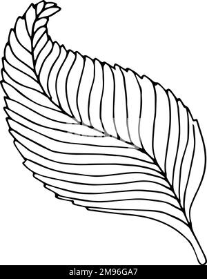 Feuille dessinée à la main sur fond blanc. Dessin floral à contour d'une ligne. Contour de l'élément botanique. Illustration vectorielle Illustration de Vecteur