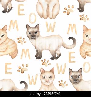 Motif sans couture Cute Cats, papier numérique à motif animal domestique aquarelle, motif de répétition Kitten pour tissu, motif d'impression, empreinte d'animal de compagnie, album Banque D'Images