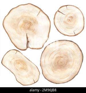 Watercolor Wood Slices Clipart, rustique Wood Board cadre clip art, coeur en bois, couronne Vintage, invitation de mariage, douche de bébé, logo Banque D'Images
