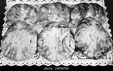 Pâtisseries danoises, papillons danois Banque D'Images