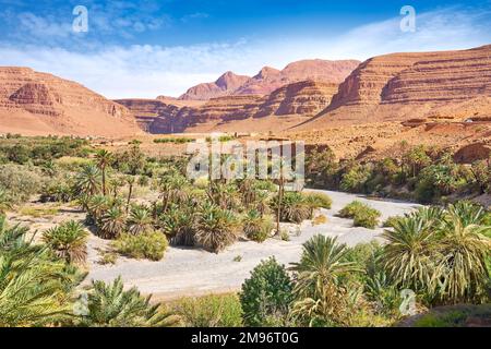 Paysage de la vallée de Ziz, Maroc, Afrique Banque D'Images