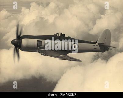 Hawker Sea Fury FB11, WF619. Banque D'Images