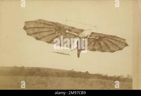 Pilcher Hawk en vol. Banque D'Images