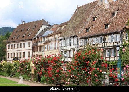 Centre-ville de Wissembourg. Alsace. Bas-Rhin. France. Europe. / Wissembourg Romantique en Alsace. Alsace. Bas-Rhin. France. Europe. Banque D'Images