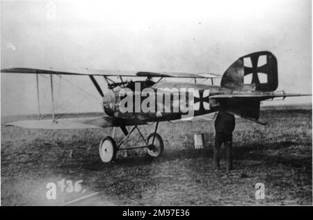Albatros D II, avion de chasse allemand, au sol avec sa queue vers le haut. Ce type a été produit en grand nombre à partir de décembre 1916, s'avérait populaire et efficace. Banque D'Images