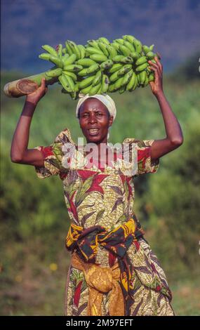 Ouganda, Kampala; Portrait d'une femme portant un bouquet de bananes sur la tête. Banque D'Images