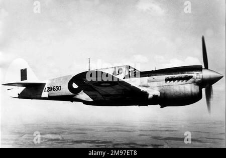 Curtiss P-40N Kittyhawk IV - ces derniers ont progressivement remplacé le Boomerang provisoire par des escadrons de chasseurs australiens servant dans le Pacifique. Banque D'Images