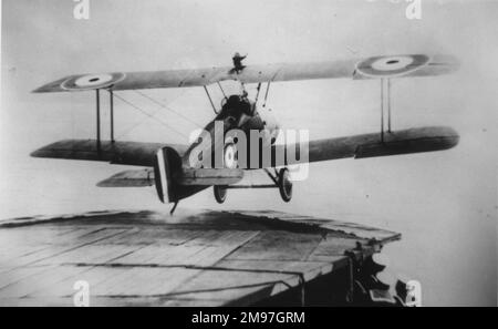 Soopwith 2F1 Camel à l'arrière, en s'éloignant du porteur HMS Furious. Banque D'Images