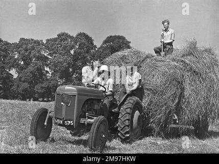 Quatre personnes avec un tracteur dans un champ, transportant du foin. Banque D'Images