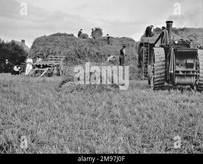 Récolte de personnes dans un champ, avec un tracteur à vapeur et une voiturette. Banque D'Images